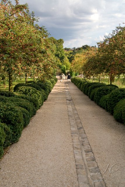 0037Arboretum Vallee aux loups.jpg - SONY DSC
